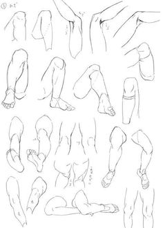 Various sketches of human arms, legs, and feet in different poses