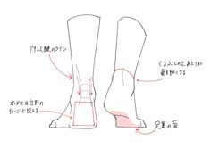 Line art illustration of human feet and lower legs with anatomical annotations