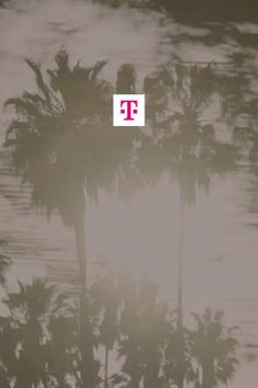 Palm tree shadows on a wall with a T-Mobile logo