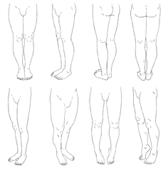 Line art illustration of human legs from various angles