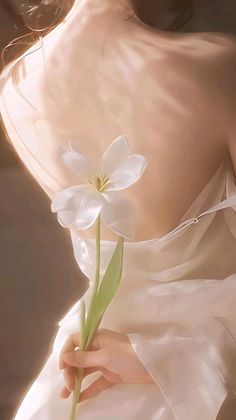 Illustration of a person with a bare back holding a white flower