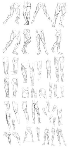 Anatomy study of human legs in various poses and angles, rendered in line art