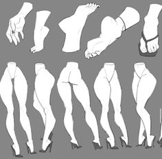 Illustration of various body parts including hands, feet, and legs in different poses