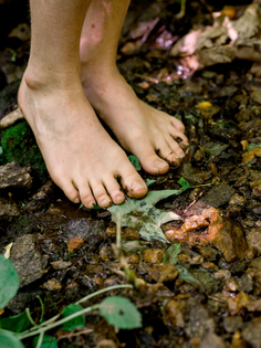 Bare feet standing on muddy forest ground with wet leaves and rocks