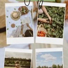 Collage of summer activities including a picnic and strawberry picking