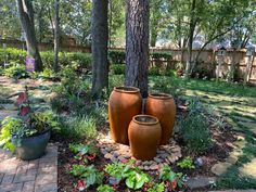 Backyard garden with three clay pots surrounded by lush greenery and trees