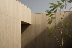 Minimalist architectural scene with wooden textures and a tree under daylight