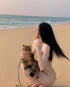 Woman in a yellow bikini holding a cat on a beach