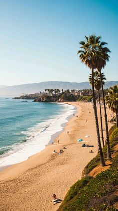 A wide shot of a sunny beach with palm trees and ocean waves