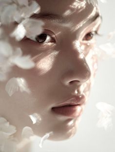Close up of a person's face with wet skin and white petals, soft lighting