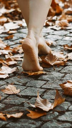 Bare feet walking on a cobblestone path covered with autumn leaves