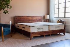 Bedroom with a wooden bed frame, two mattresses, and a plant