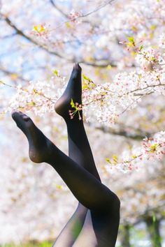 Legs in black tights against a backdrop of cherry blossoms
