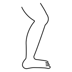 Simple line art drawing of a human leg and foot