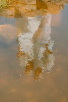 Distorted reflection of a person in brown water with ripples