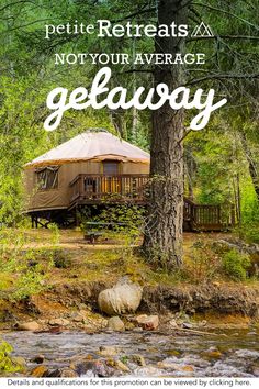 A yurt with a wooden deck nestled in a lush green forest next to a river