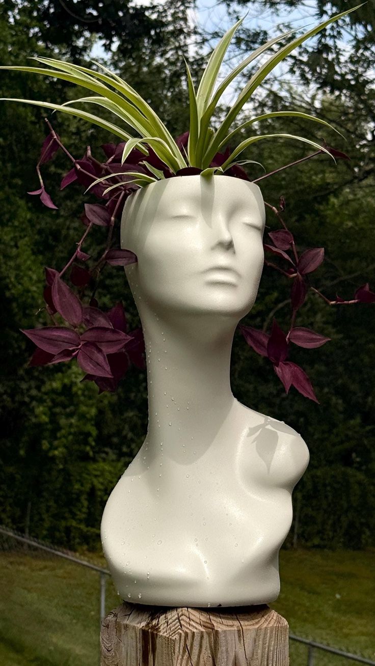 Mannequin head used as a planter with green and purple plants, covered in water droplets