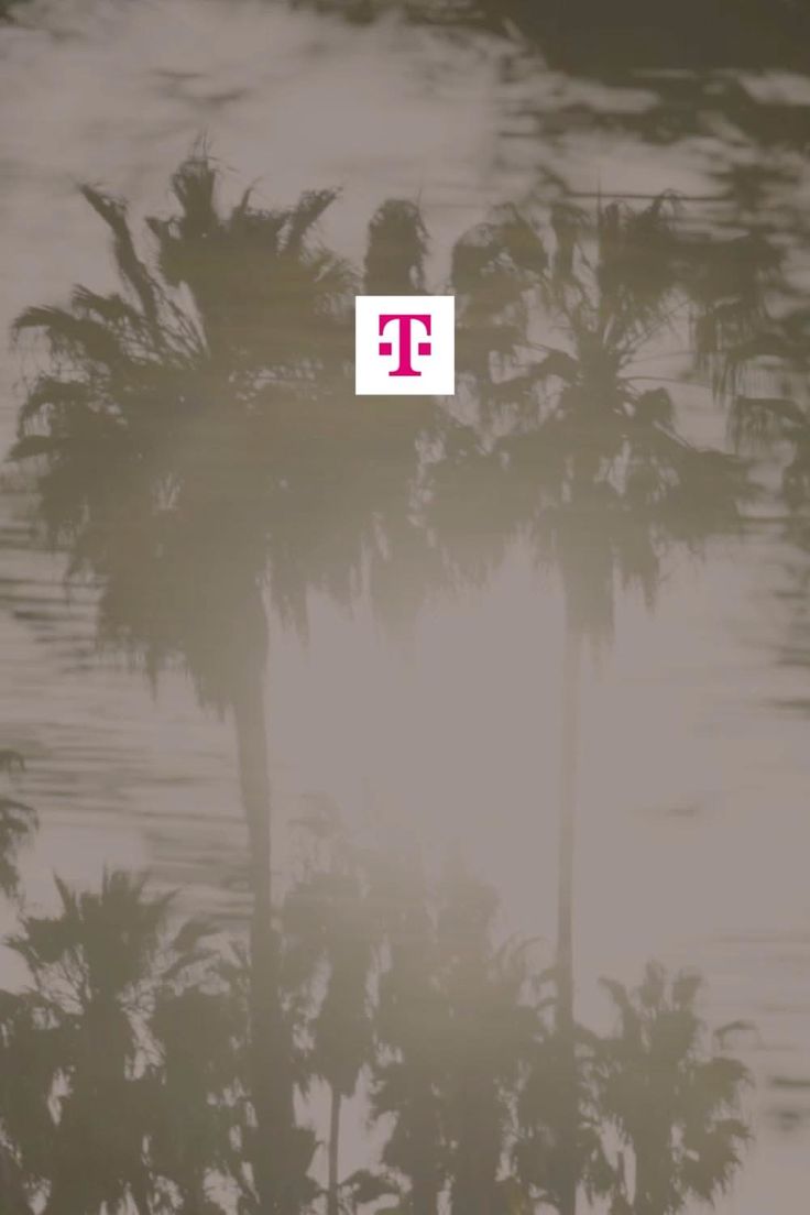 Palm tree shadows on a wall with a T-Mobile logo