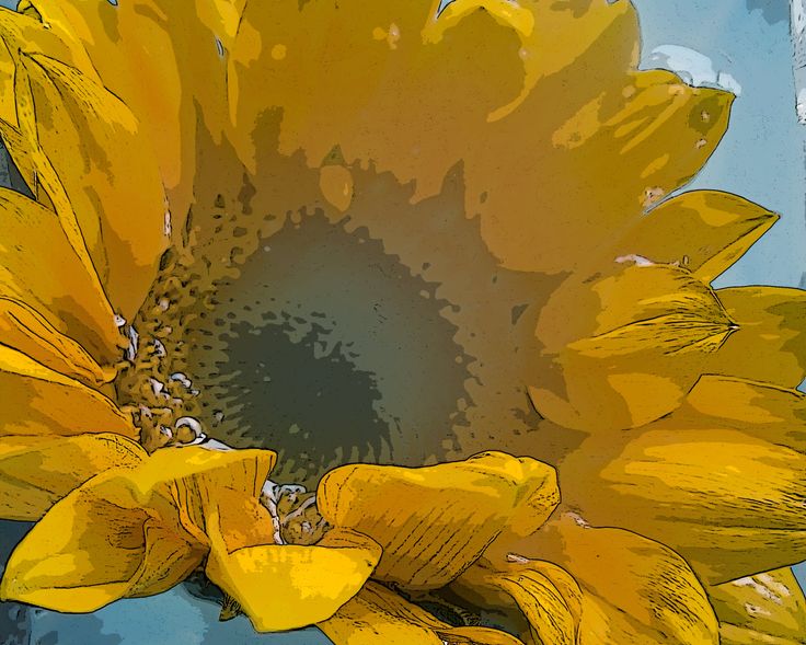 Close up of a sunflower with yellow petals and a dark center in a cartoon style