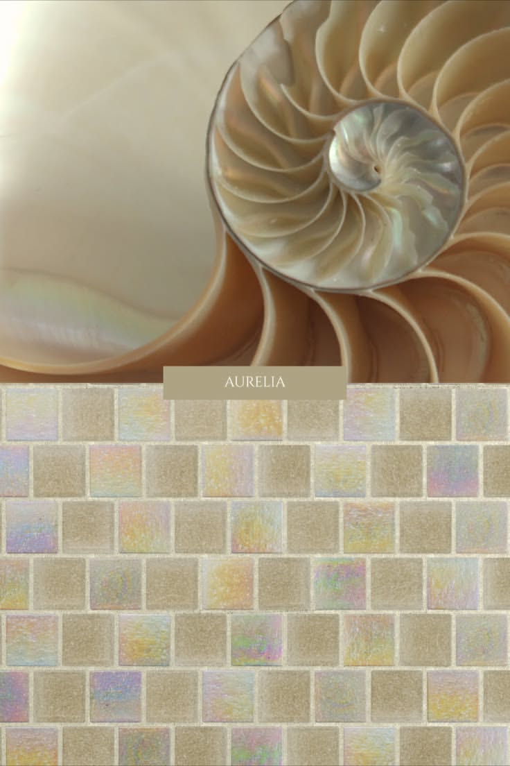 Nautilus shell with iridescent mosaic tiles below