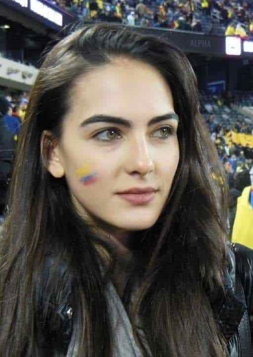 Woman with long dark hair and face paint in a stadium