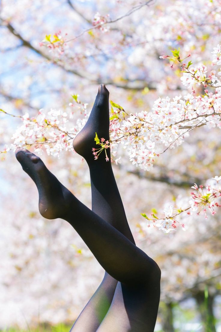 Legs in black tights against a backdrop of cherry blossoms