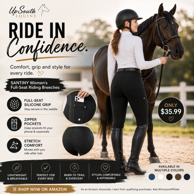 Woman in equestrian gear with a horse outdoors