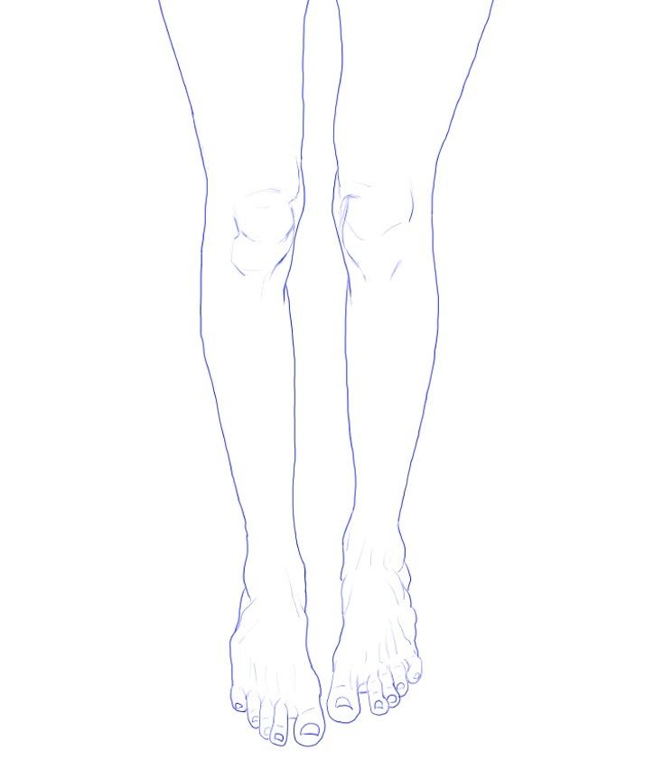Line art illustration of a pair of legs and feet on a white background