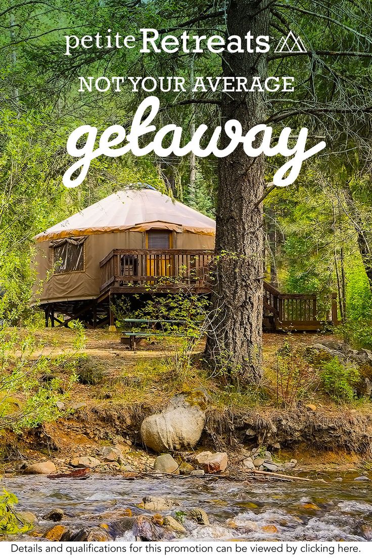 A yurt with a wooden deck nestled in a lush green forest next to a river